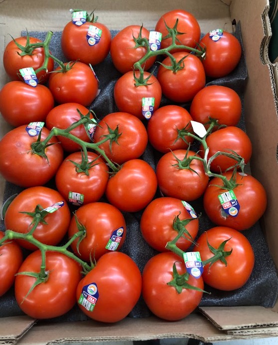 Wine Tomato box 11lb