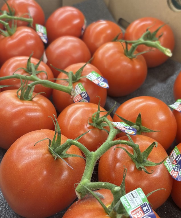 Beef Steak Tomatoes