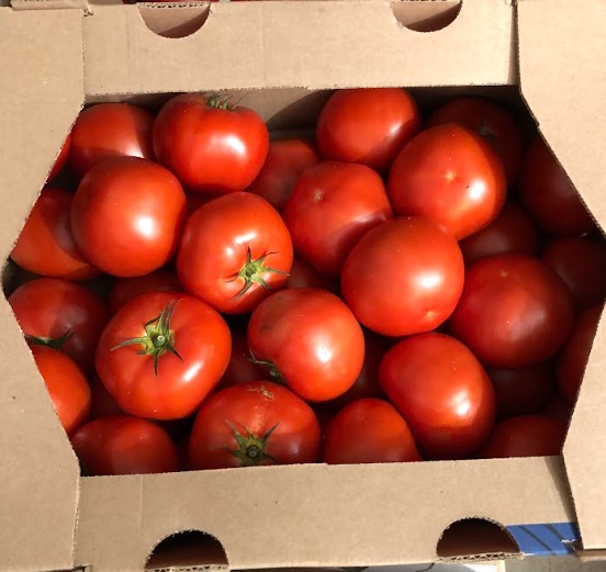 Tomatoes on Vine 25lb