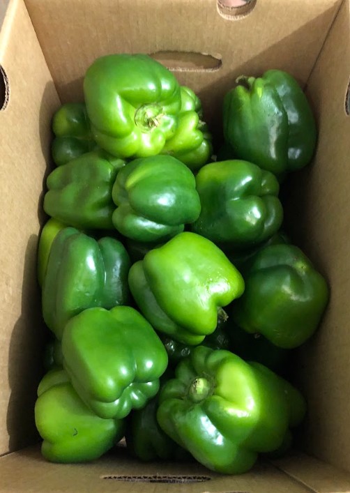 Green Bell Pepper 22lb box