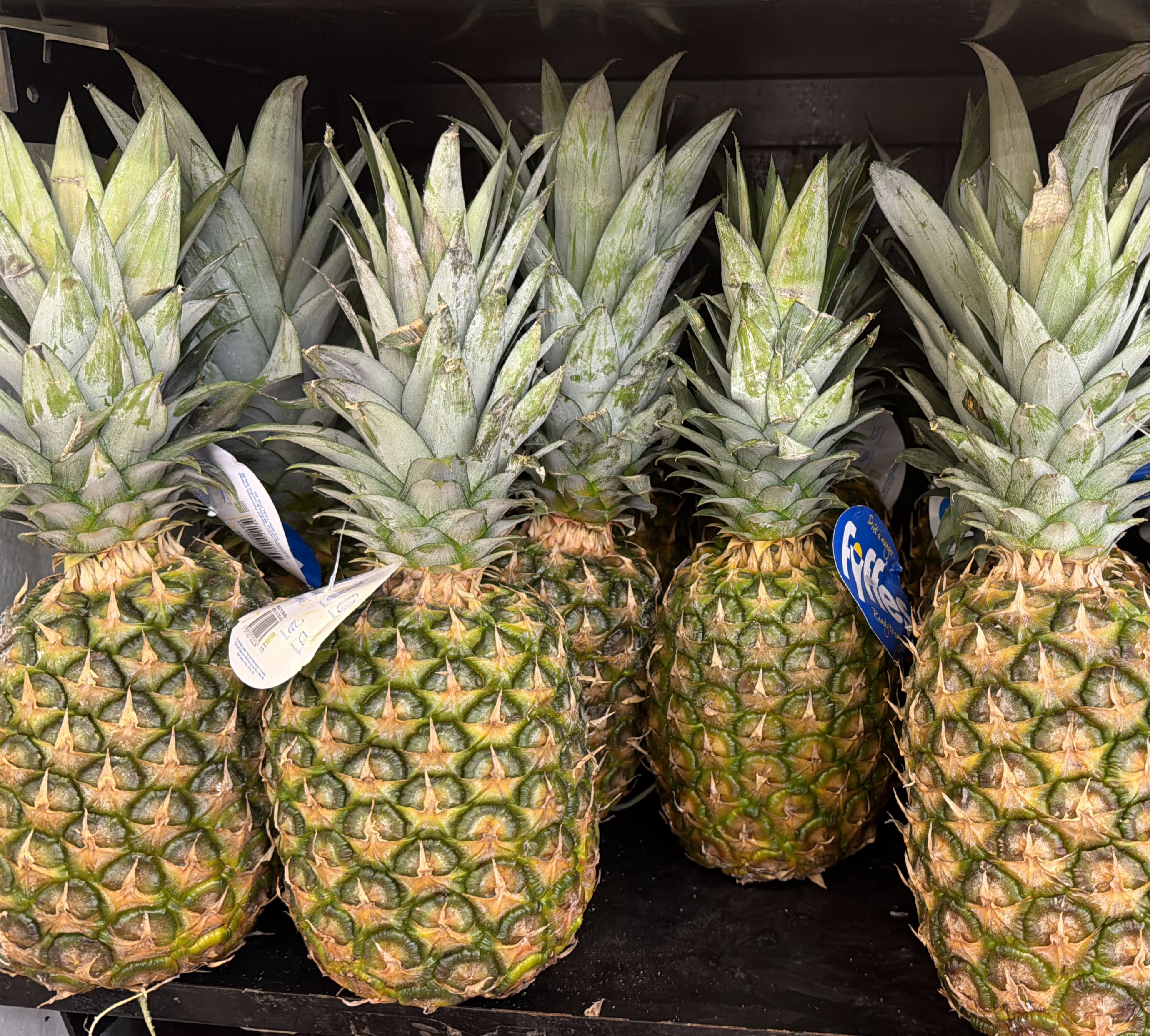 Pineapple 