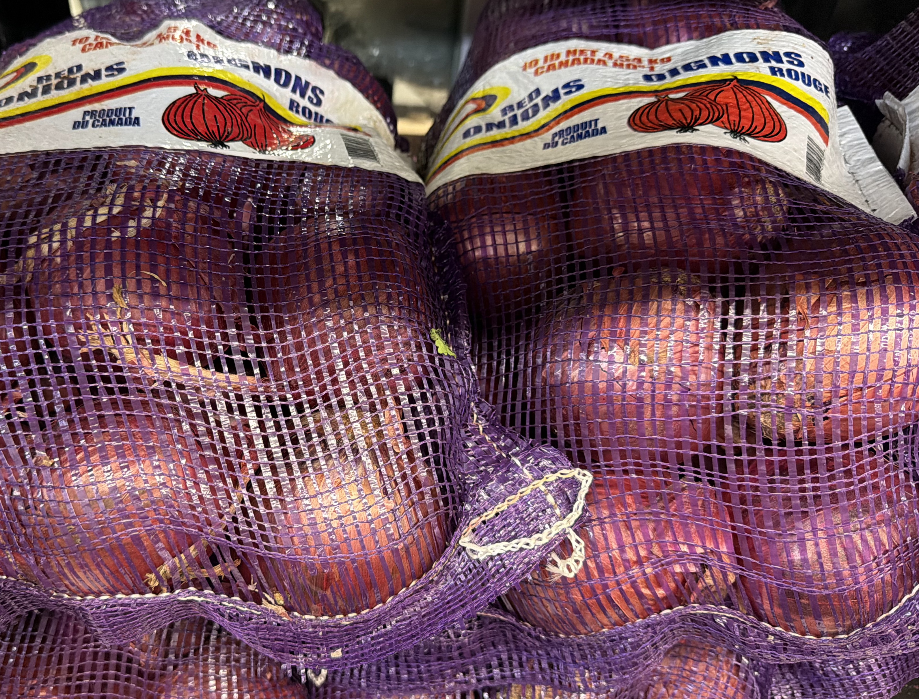 Red Onion 10lb
