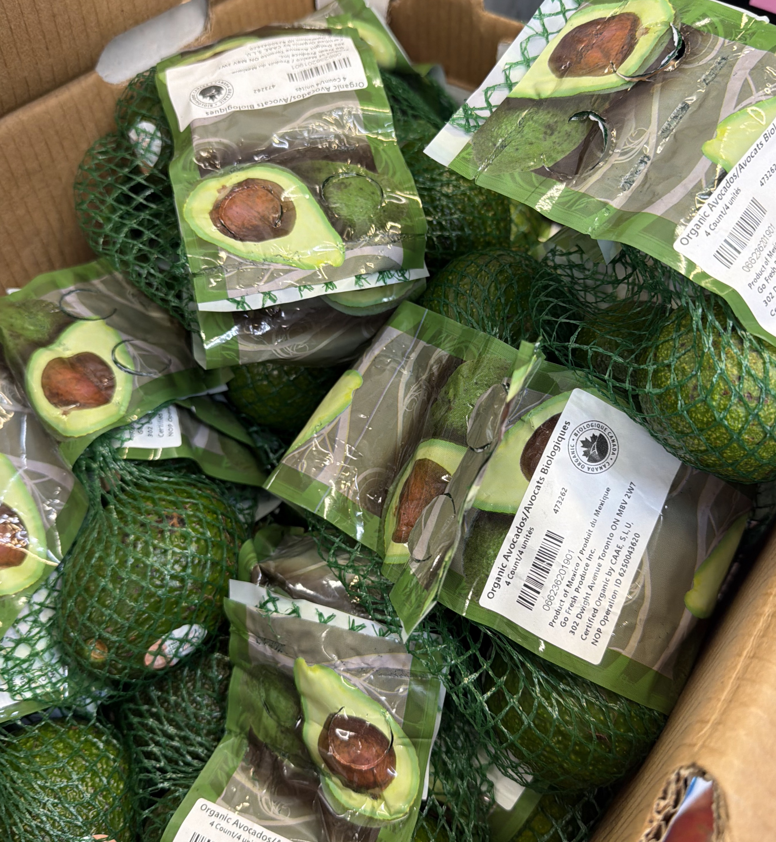 Organic Avocado bag of 4
