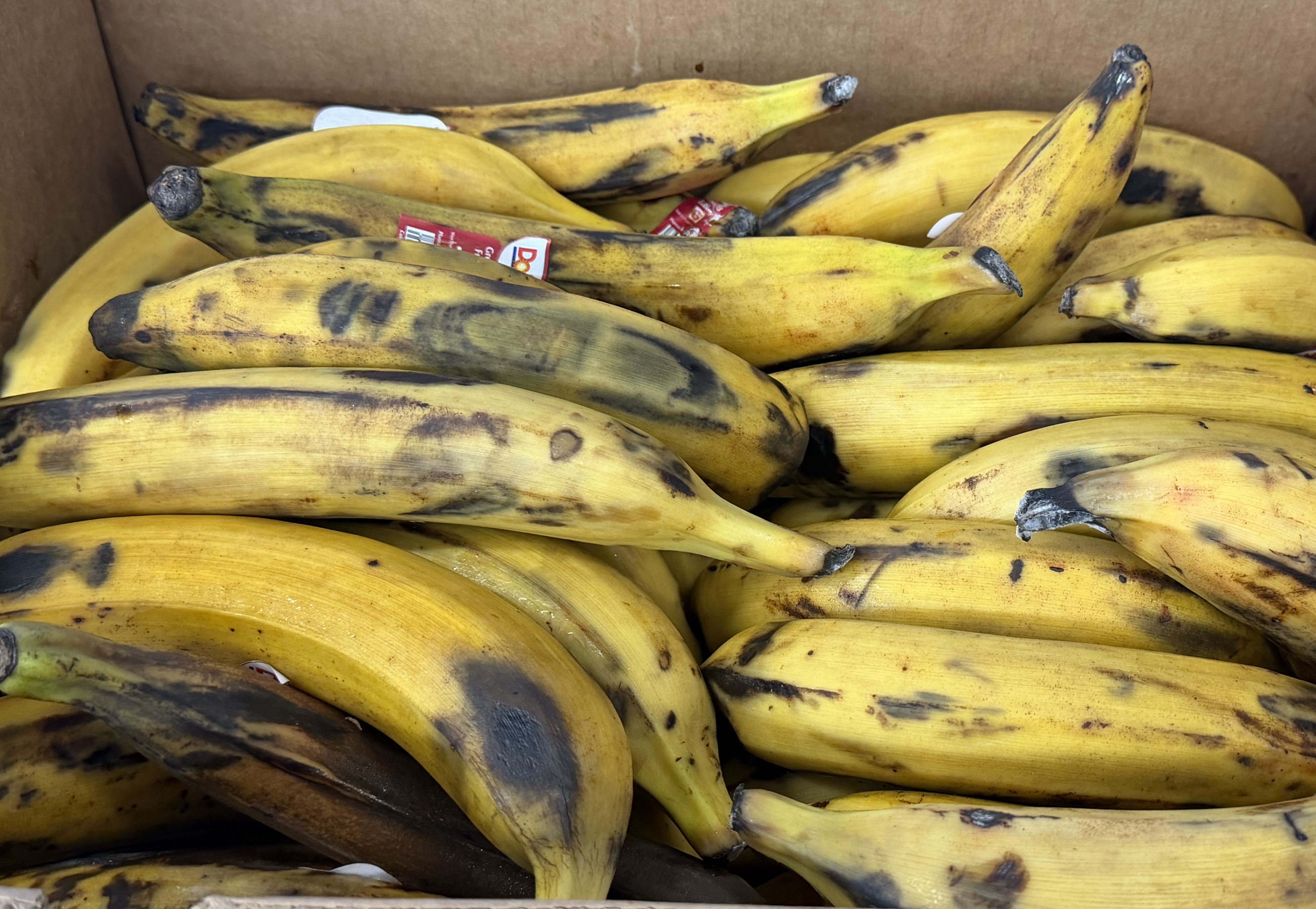 Plantains 