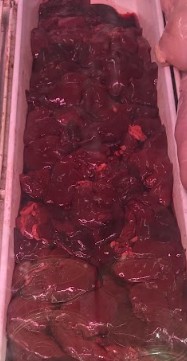 Fresh Chicken Liver /gizzards