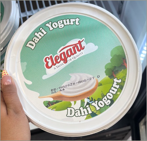 Elegant Dahi Yogurt