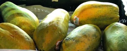 PaPaya