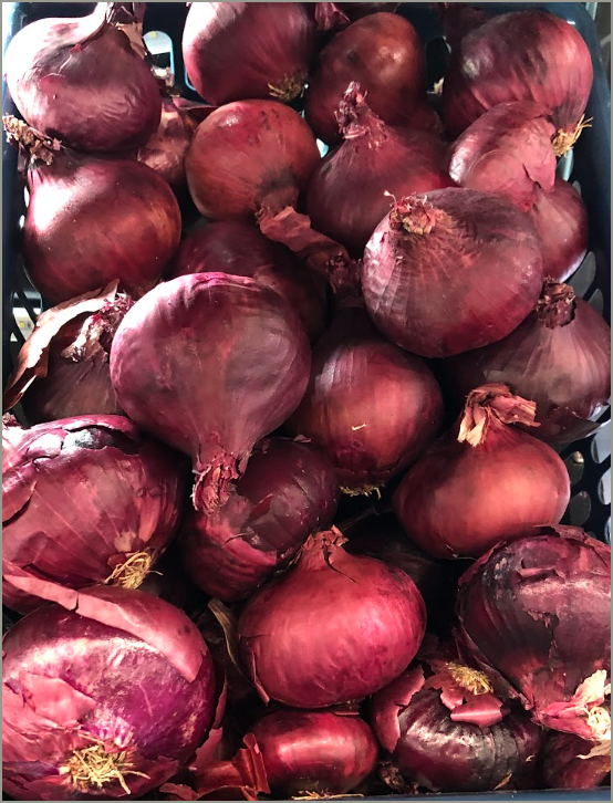 Red Onion