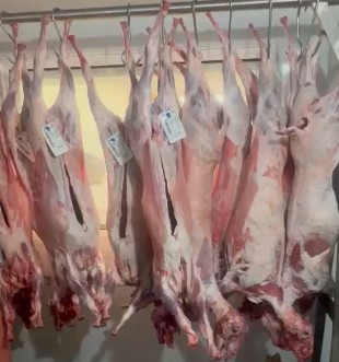 Full Lamb 
