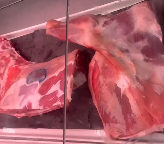 Lamb shoulder 
