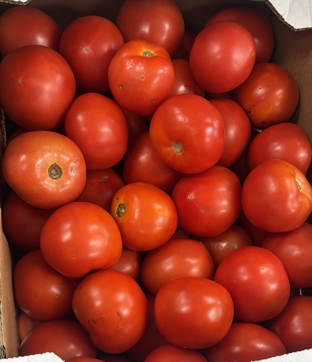Tomatoes 25lb box