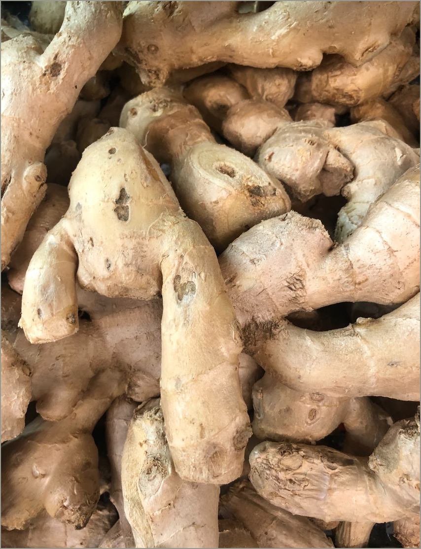 Fresh Ginger 